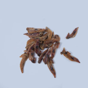 Dehyderated Chicken Wingtips paw on raw