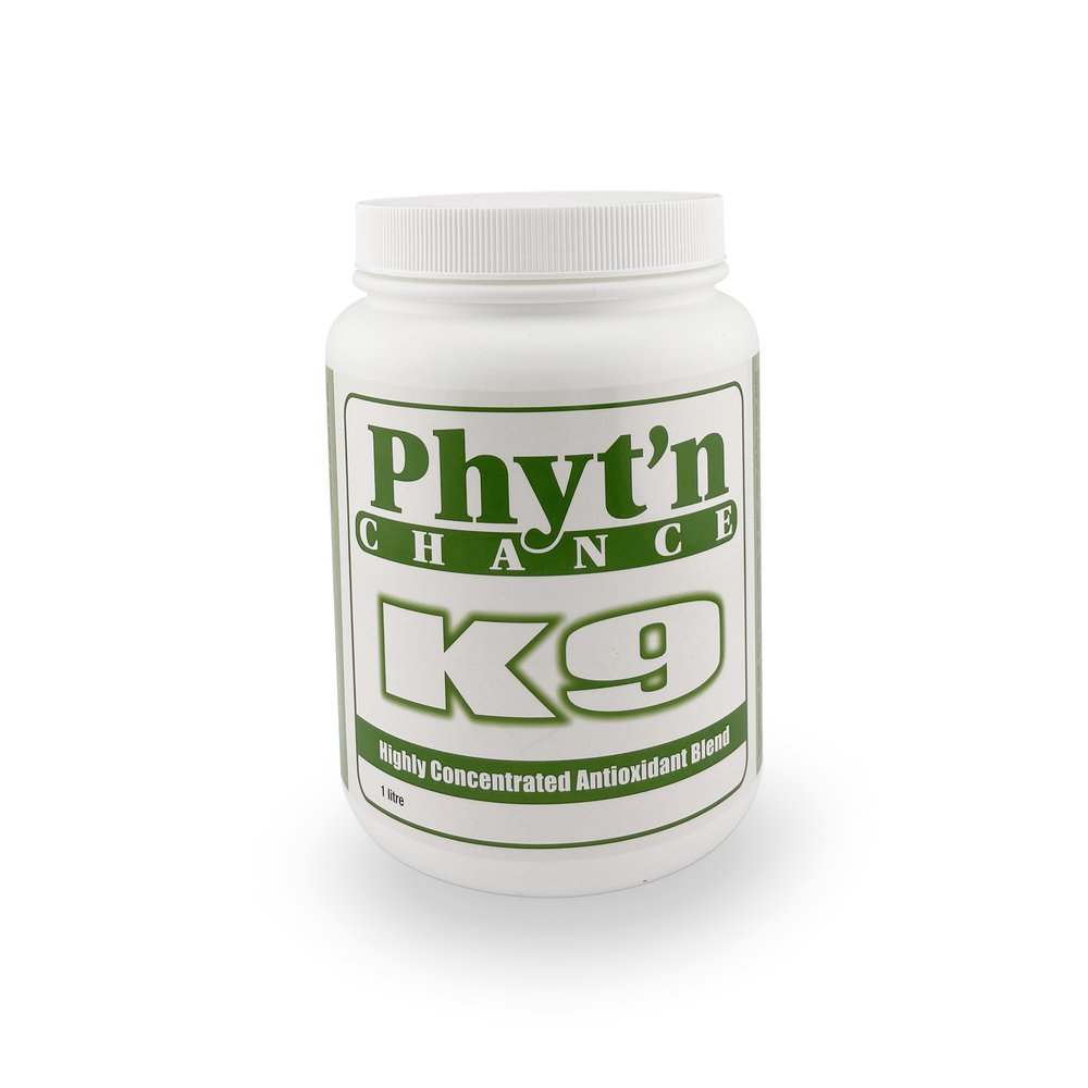 paw on raw - phyt'n chance