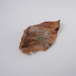 pig ear | paw on raw dog food