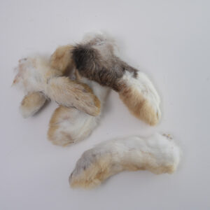 rabbit feet | paw on raw dog food