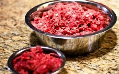 Raw Meat Diet for Dogs | Healthy & Natural Dog Nutrition