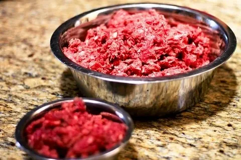 raw meat diet for dogs